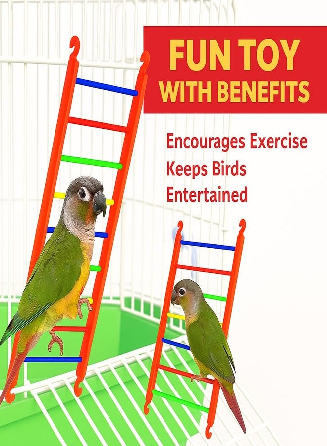 VAYINATO® Birds Colorful Plastic Climb Ladder Toy (Pack of 2) Cage Accessories for Love Birds, Parrot, Parakeet, Budgies, Cockatiel, Etc. (Medium - 21CM) by Petzlifeworld - Image 3